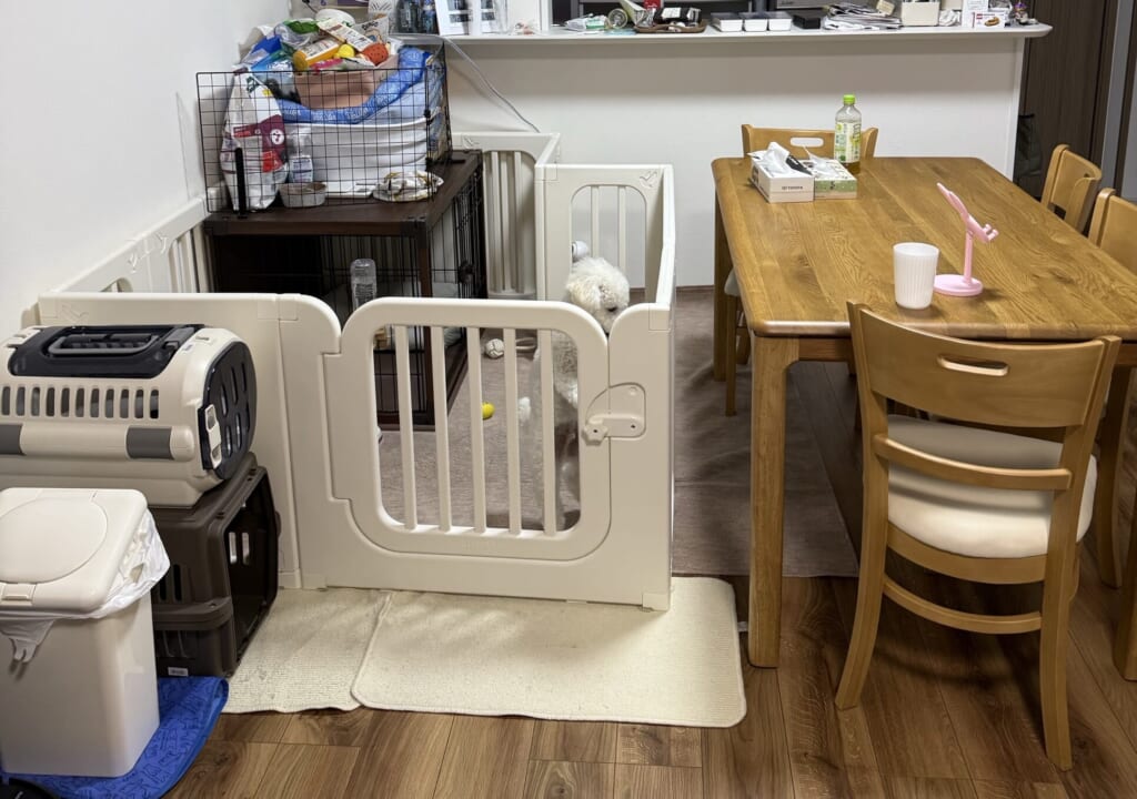 ケージの上にグッズを積んでいた、すきまくんを置く前のリビング