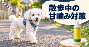 散歩中の甘噛み対策｜青いハーネスで散歩する白いトイプードルとしつけ用スプレーのイメージ