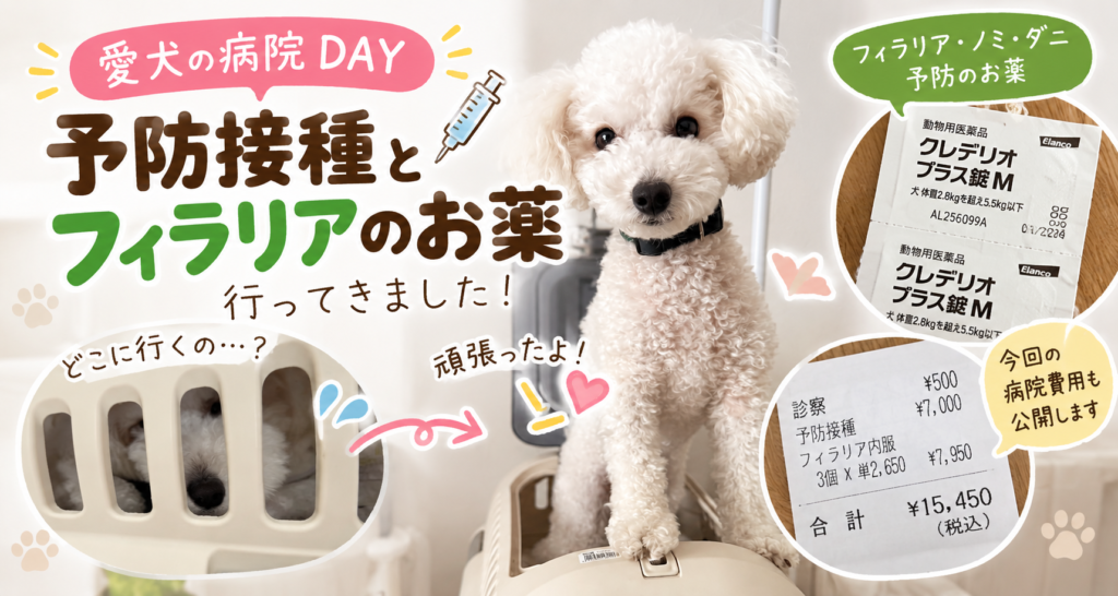 愛犬の病院DAY 予防接種とフィラリアのお薬 行ってきました！