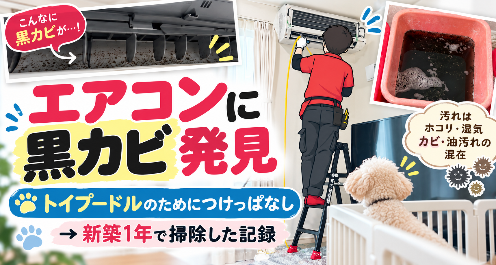 新築1年で黒カビが見つかったエアコンとクリーニングの様子、愛犬ぷっぴー