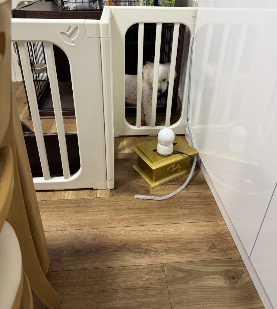 犬が噛まないように保護したペットカメラの配線