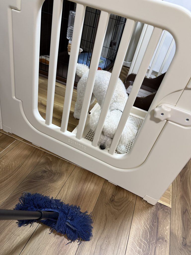 ダスキンのモップを狙っているぷっぴー