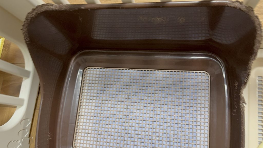 犬にかじられてギザギザになったトイレトレーのフチ