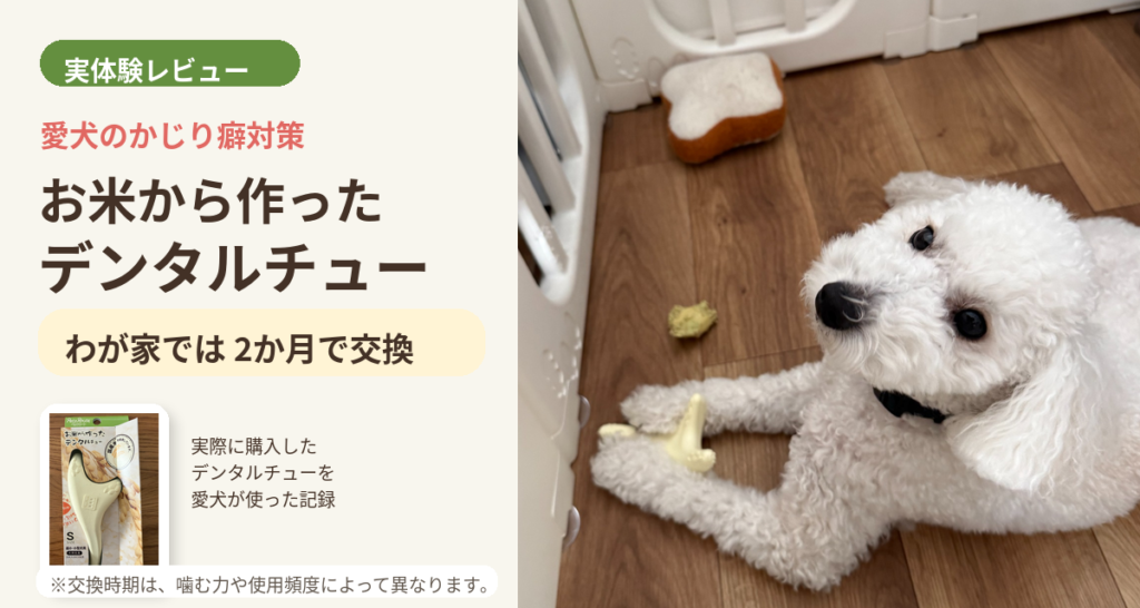 お米から作ったデンタルチューを使う白い犬のレビュー画像