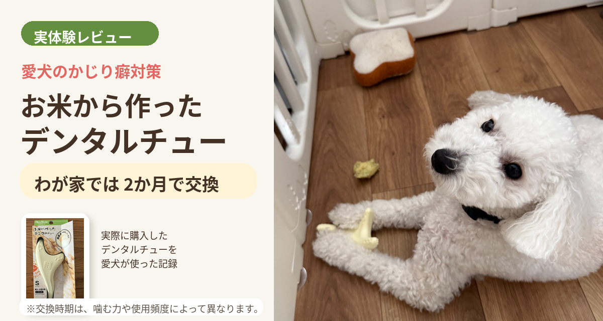 お米から作ったデンタルチューを使う白い犬のレビュー画像