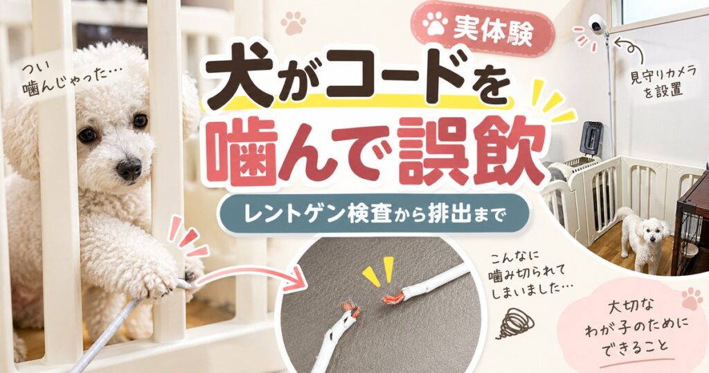 犬がペットカメラのコードを噛み切って誤飲した実体験のアイキャッチ画像