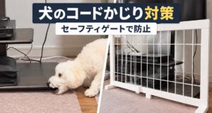 家具をかじる白いトイプードルと家具を守るために設置した白いセーフティゲート