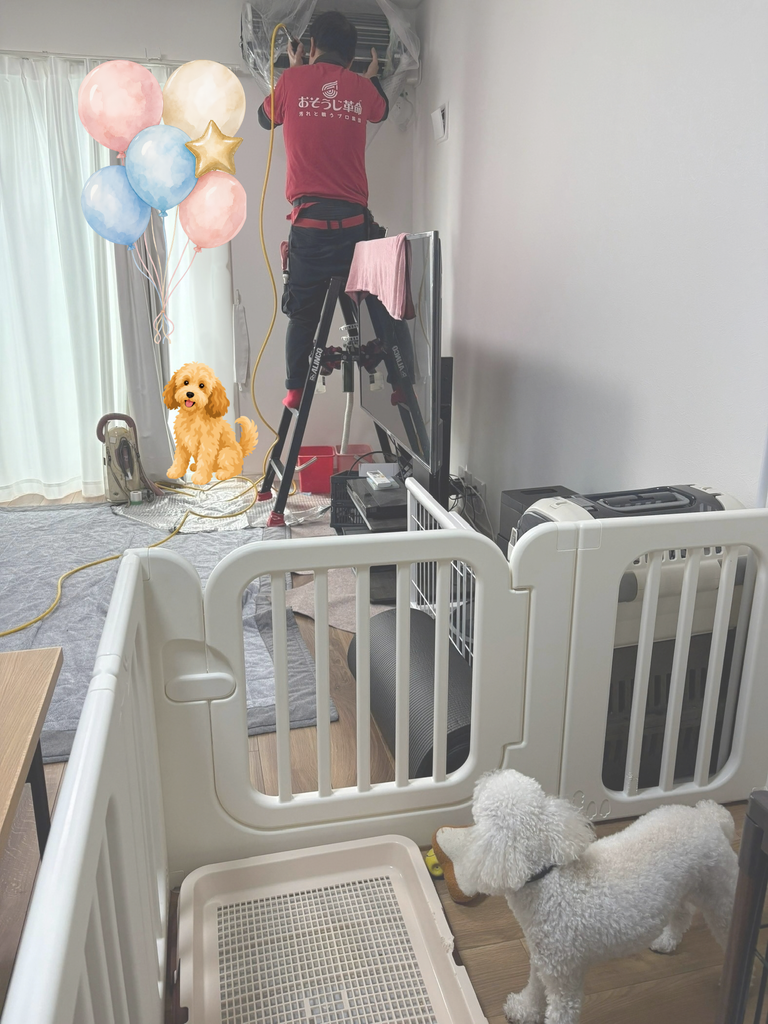愛犬ぷっぴーが見守る中で行われたエアコンクリーニングの作業風景