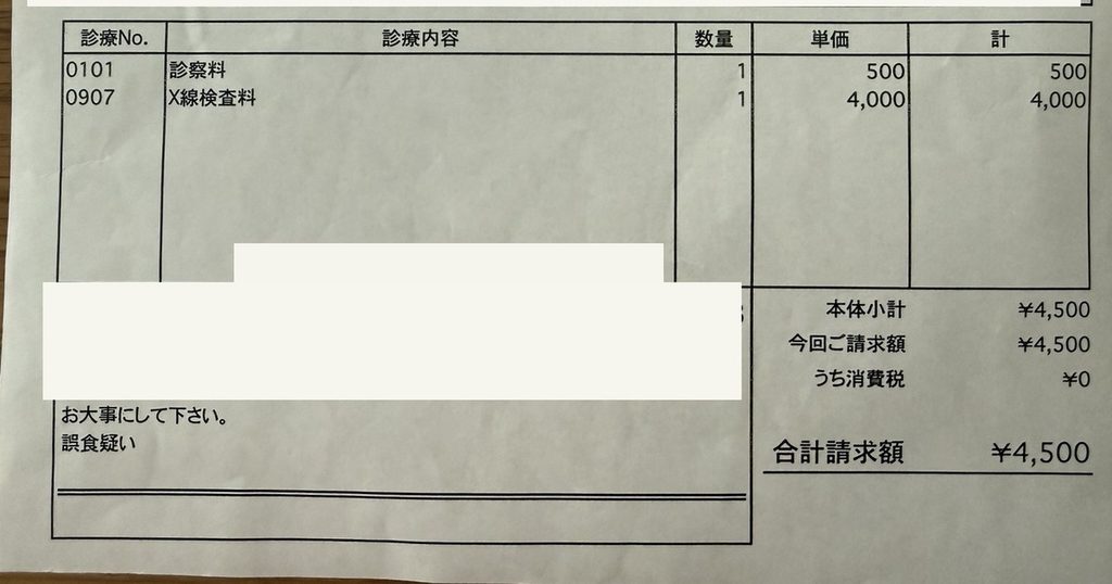 犬のコード誤飲でレントゲン検査を受けたときの診療明細書